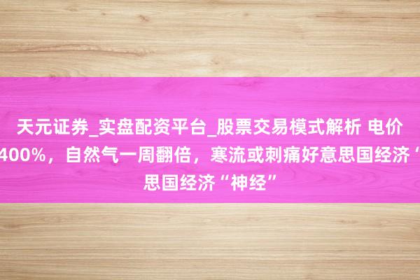 天元证券_实盘配资平台_股票交易模式解析 电价狂飙1400%，自然气一周翻倍，寒流或刺痛好意思国经济“神经”