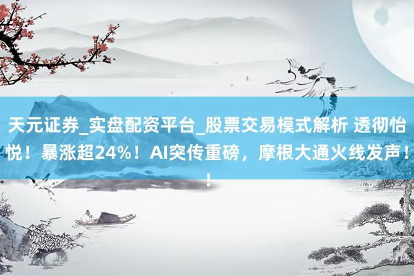 天元证券_实盘配资平台_股票交易模式解析 透彻怡悦！暴涨超24%！AI突传重磅，摩根大通火线发声！